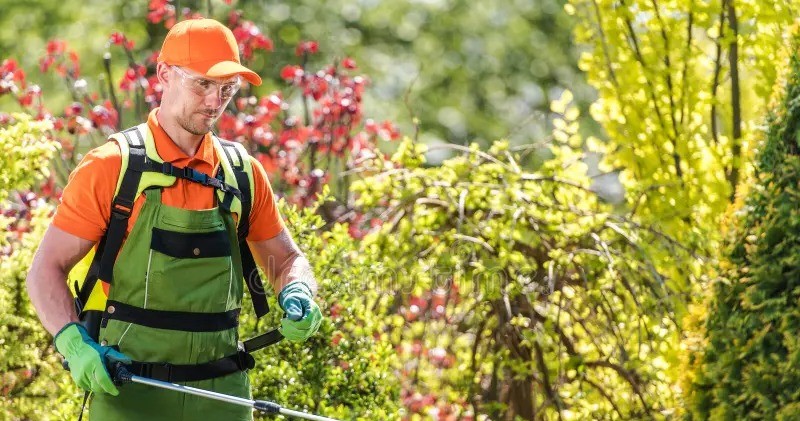 Landscape Services